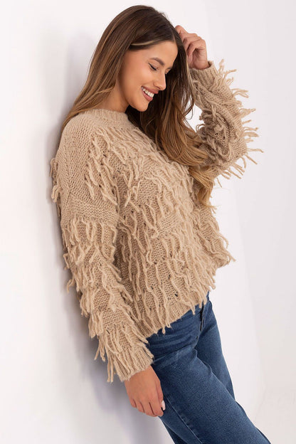  trui model 217057 Rue Paris 